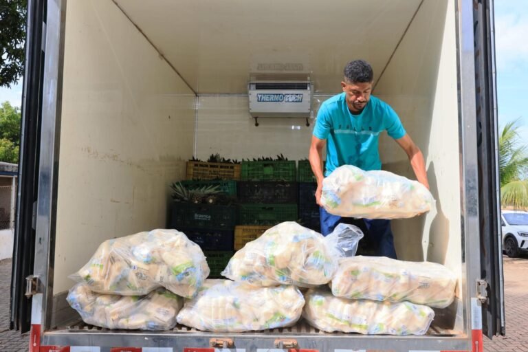 PREFEITURA DE PALMAS DISTRIBUI 5 MIL QUILOS DE ALIMENTOS E BENEFICIA 600 FAMÍLIAS VULNERÁVEIS