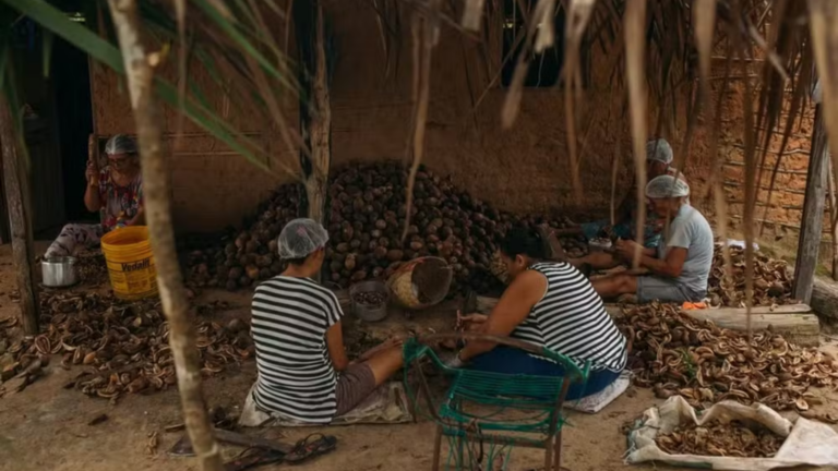 QUEBRADEIRAS DE COCO BABAÇU DO TOCANTINS CELEBRAM RECONHECIMENTO DA ATIVIDADE COMO MANIFESTAÇÃO CULTURAL NACIONAL